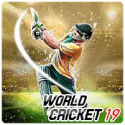 World cricket - World Championship 1.0.1