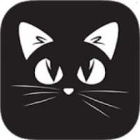 Super Cat World
