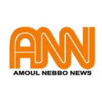 ANN (Amoul Nebbo News)