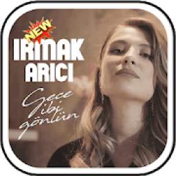 Irmak Arıcı 1.0
