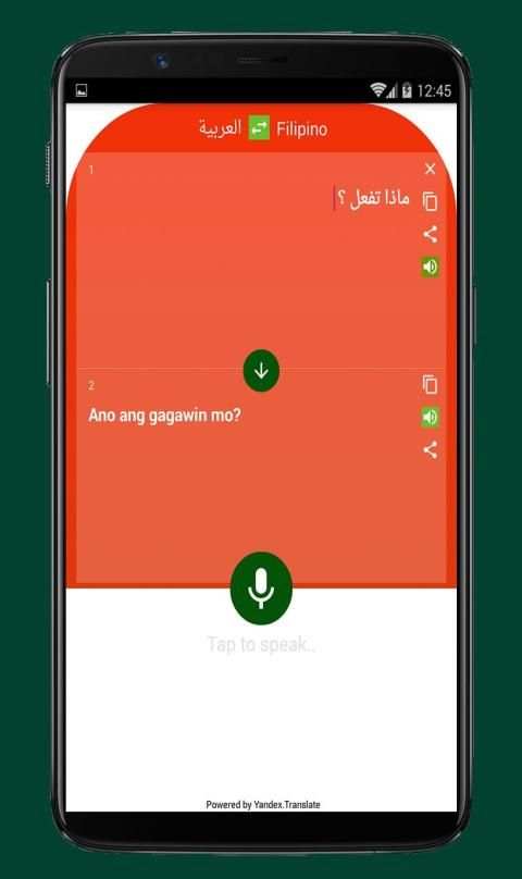 Arabic to Filipino Translator screenshot 2