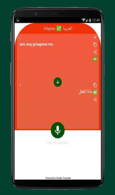 Arabic to Filipino Translator screenshot 3