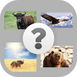 ikon Adivina cuál es?