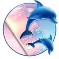 Blue dolphin theme on 9Apps