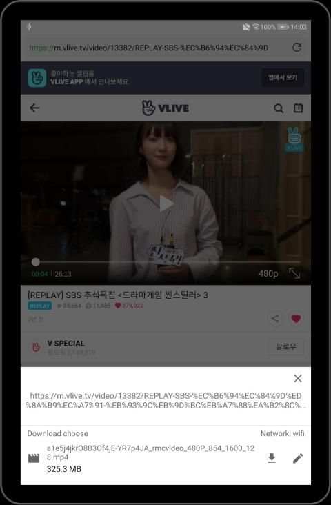 Video Downloader (Browser) screenshot 3