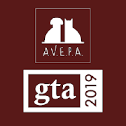 AVEPA-GTA Zaragoza 2019 icon