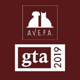 AVEPA-GTA19 1.0.2
