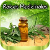 Raíces curativas medicinales