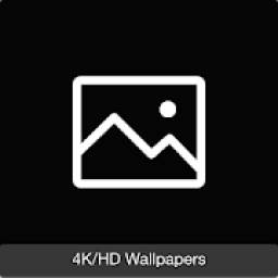 4K/HD Wallpapers