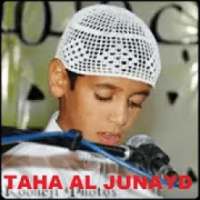 Taha Al Junayd 30 juz