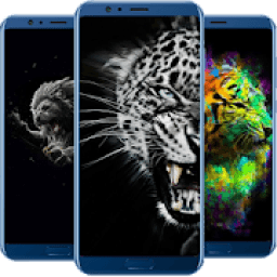 ikon Wild Cats Wallpaper