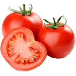 ikon Pests and Diseases of Tomato
