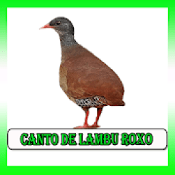 Canto De Lambu Pe Roxo icon