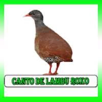 Canto De Lambu Pe Roxo on 9Apps