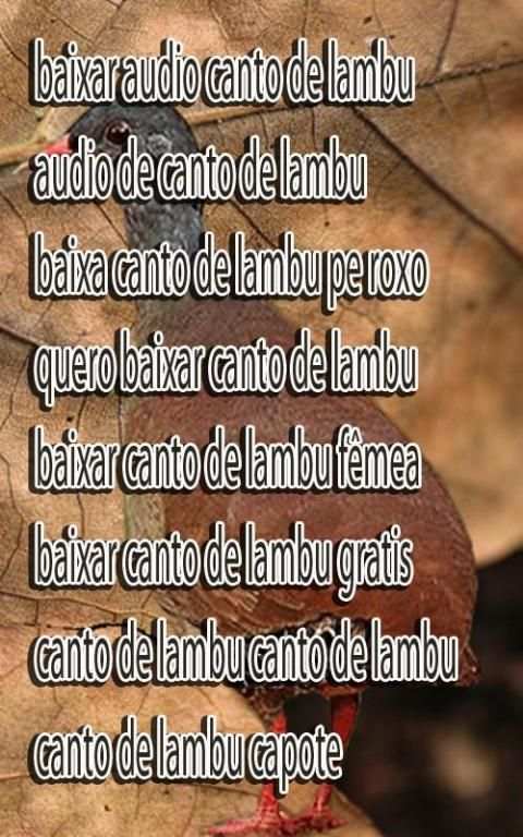 Canto De Lambu Pe Roxo screenshot 1