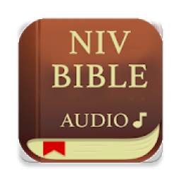 Bible Audio, NIV