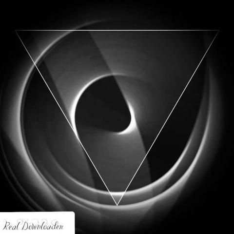 Real Downloader screenshot 2