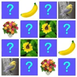 Memory Game आइकन