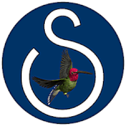 Satta Asia भारतीय सट्टा icon