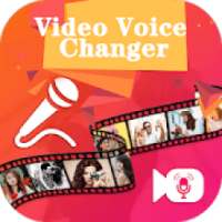 Video Voice Changer
