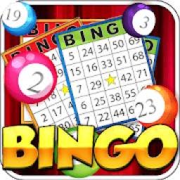 Free Bingo New Cards Game - Vegas Casino Feel