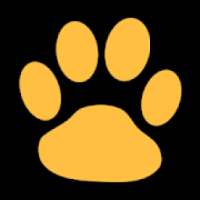 Заметки + планировщик дел