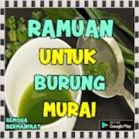 Ramuan Burung Murai on 9Apps