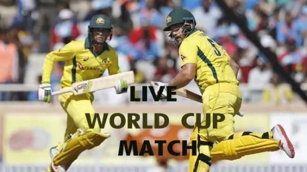 Cricket Live TV screenshot 2