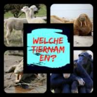 Welche Tiernamen?