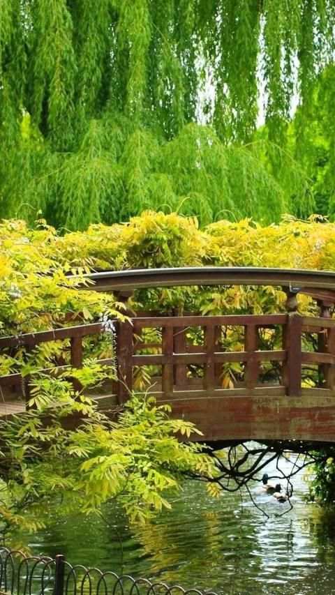 Garden Wallpaper screenshot 25