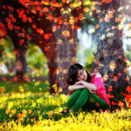 ikon Flower Rain Effect Photo Editor