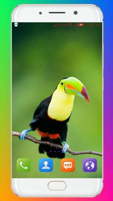 Bird Wallpaper HD स्क्रीनशॉट 16