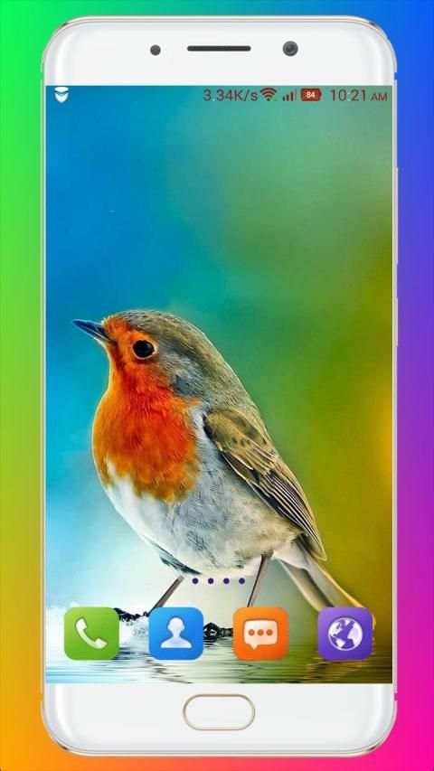 Bird Wallpaper HD स्क्रीनशॉट 24
