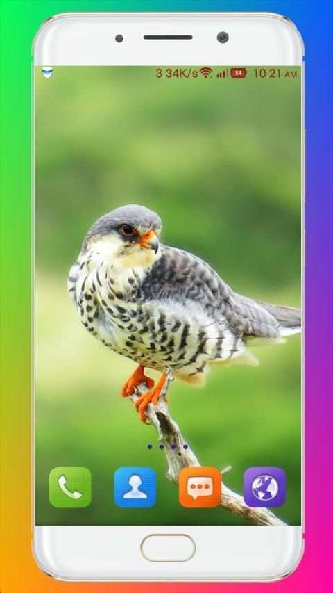 Bird Wallpaper HD स्क्रीनशॉट 2