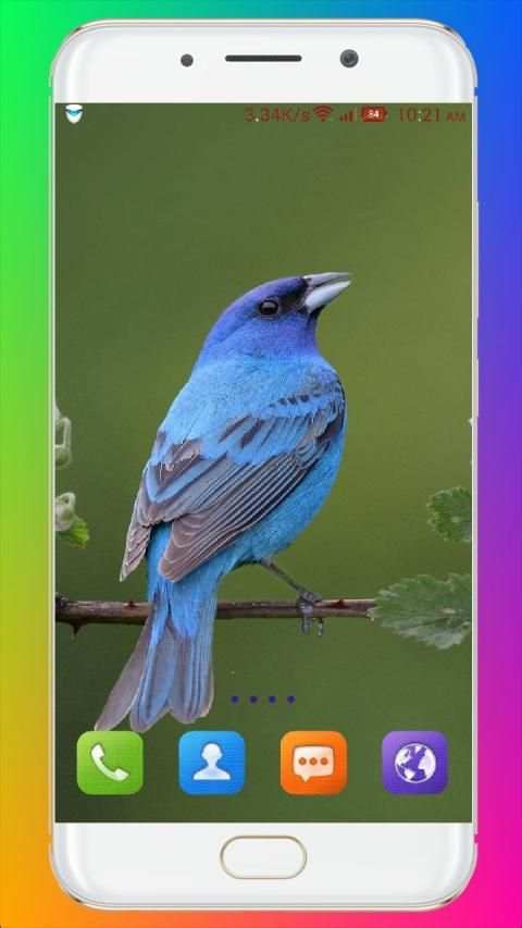 Bird Wallpaper HD स्क्रीनशॉट 4