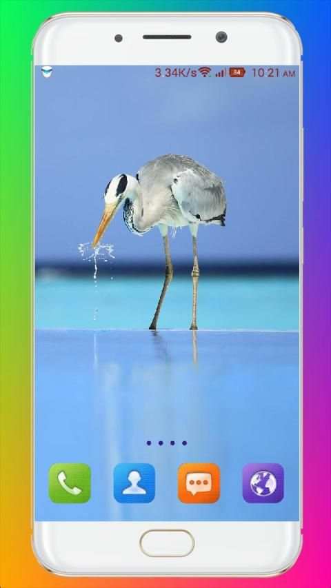Bird Wallpaper HD स्क्रीनशॉट 10