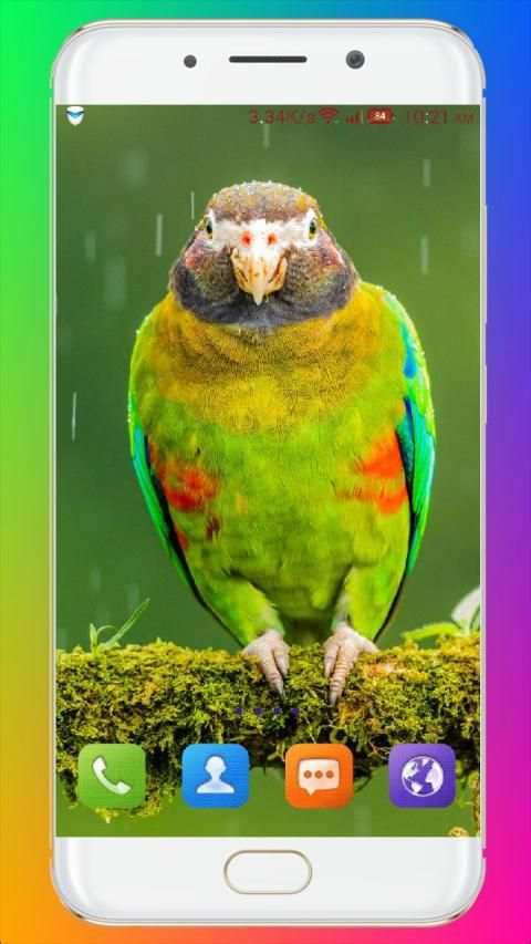 Bird Wallpaper HD स्क्रीनशॉट 19