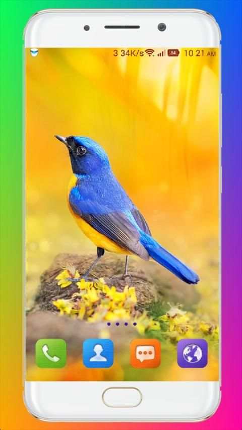 Bird Wallpaper HD स्क्रीनशॉट 23
