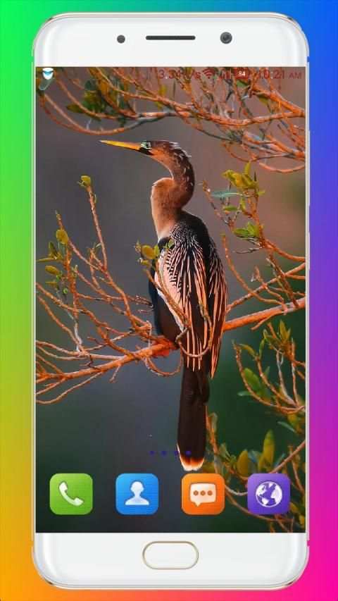 Bird Wallpaper HD स्क्रीनशॉट 25
