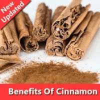 Health Benefits Of Cinnamon on 9Apps