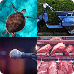 Adivina la foto icon