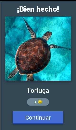 Adivina la foto screenshot 17