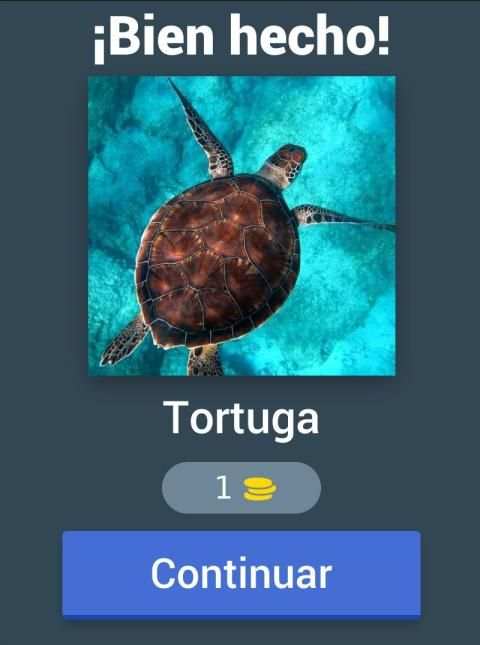 Adivina la foto screenshot 5
