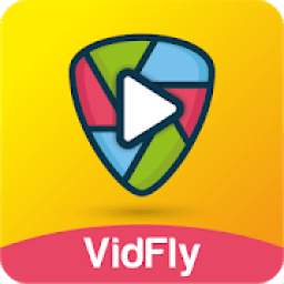 Full Screen Video Status, Status Saver - VidFly