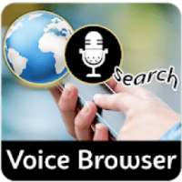 Voice Browser – Browse by Voice or Texting