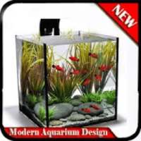 Unique Aquarium Design