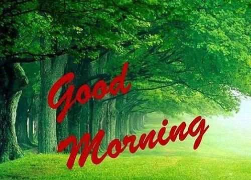 Good Morning Have a Nice Day Gif 18 تصوير الشاشة