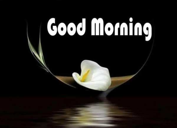 Good Morning Have a Nice Day Gif 14 تصوير الشاشة
