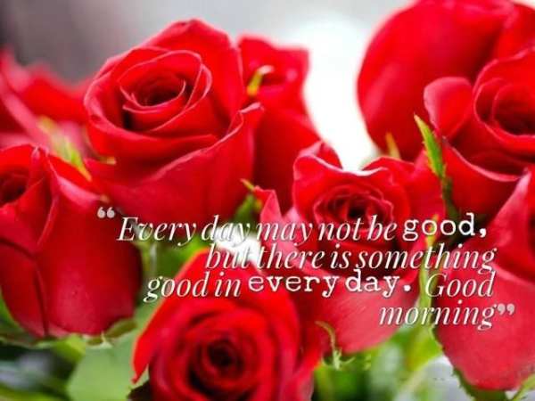 Good Morning Have a Nice Day Gif 6 تصوير الشاشة