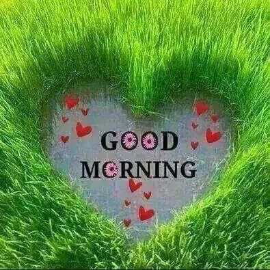 Good Morning Have a Nice Day Gif 3 تصوير الشاشة